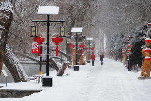 關(guān)于古鎮(zhèn)的雪景的詩(shī)句