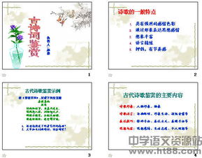 中考重點古詩句鑒賞