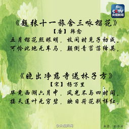 古詩,詩句,中含有