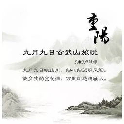 寫重陽節(jié)的詩句古詩小學,關于重陽的詩句古詩,描寫重陽的詩句古詩