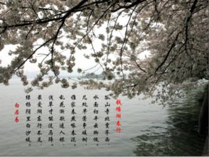 關(guān)于四時(shí)之景的古詩(shī)句