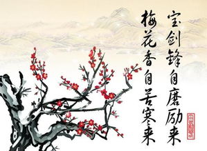 詠荷花的詩(shī)句古詩(shī),關(guān)于寫荷花的詩(shī)句古詩(shī),關(guān)于贊美荷花的詩(shī)句古詩(shī)