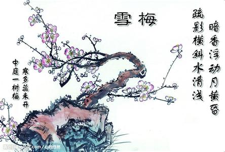 關(guān)于梅花的詩句和名言