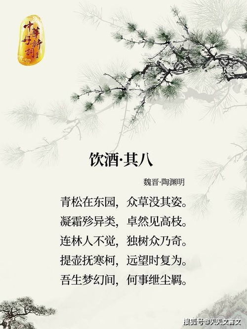 關(guān)于松樹與雪的詩(shī)句