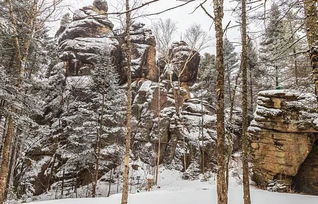 雪景,詩句,抒情