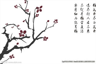 關(guān)于梅花詩句有圖畫