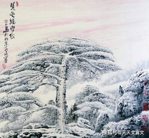 描寫松樹和雪的詩(shī)句,松樹掛雪的詩(shī)句,松樹在雪中挺拔的詩(shī)句