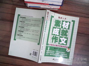 成功后的經(jīng)歷作文600字作文開頭