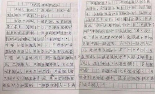 一個(gè)不溫暖的人作文600字作文開(kāi)頭