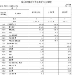 部門決算分析報告(部門財務決算分析報告)