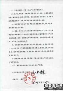 排查承諾書(shū)(大排查大整治承諾書(shū))