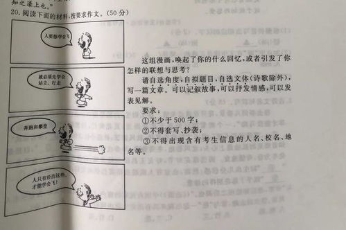 生活中付出得到收獲的作文五百字作文開頭