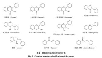 黃酮類化合物的提取與分離方法綜述論文(Vsp記錄的波場分離方法綜述)