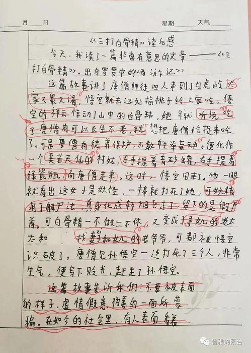 我自己來選擇作文開頭