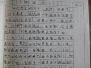 與眾不同的中秋節(jié)800字作文開頭