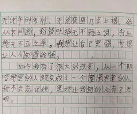 以我和別人不一樣為主題的作文,不一樣的精彩作文開頭和結(jié)尾,以不一樣為主題的作文600字