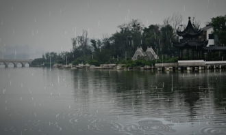 雨中場景作文開頭