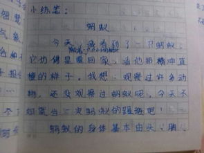 變形記作文六級(jí)螞蟻開頭