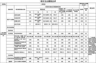 項目績效自評報告(項目績效考核自評報告)