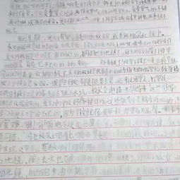 珍藏友誼1000字作文開頭