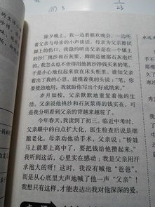 仿寫背影600字作文初二開頭