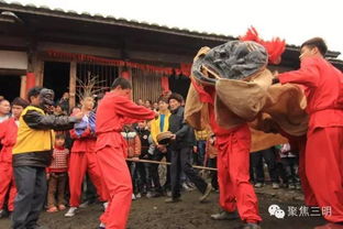 民俗活動板凳龍(看板凳龍初中作文)