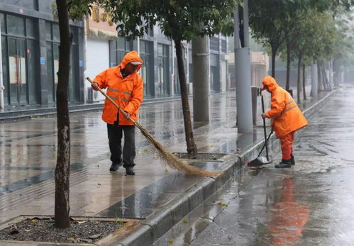 雨中環(huán)衛(wèi)工人的背影作文開頭