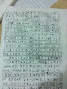 精彩在什么中作文600字作文開頭