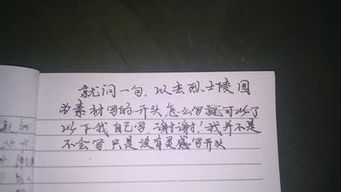 這一天讓我銘記作文1000字作文開頭