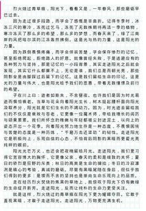 令人溫暖的陽(yáng)光800作文開頭