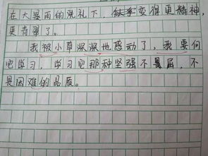 寫好媽作文如何開頭