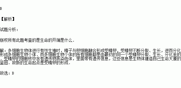 時間就是生命作文開頭