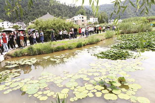 人工快滲處理牛湖河水的實(shí)踐(復(fù)合快滲系統(tǒng)處理生活污水的模擬試驗(yàn)研究)