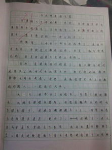 美好的體驗(yàn)500字作文開頭