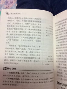 小學(xué)作文開頭設(shè)置懸念例子