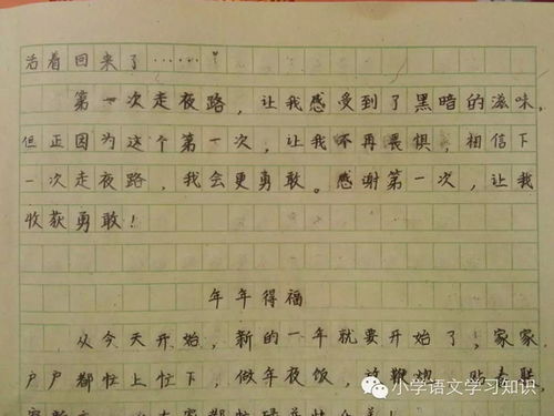 第一次作文開頭大學(xué)