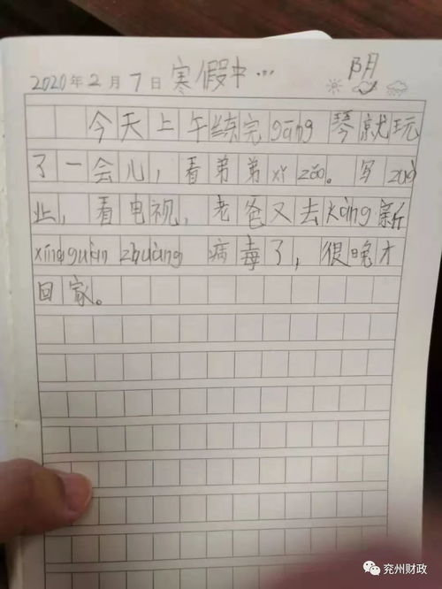 我愛我的家寫事作文1000字作文開頭