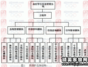 英語專業(yè)畢業(yè)論文開題報告(英語專業(yè)畢業(yè)論文的開題報告)