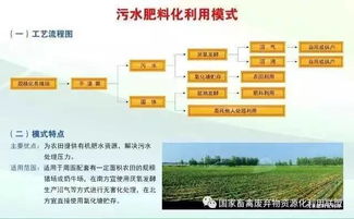 畜禽糞污資源化利用工作總結(jié)(畜禽糞污資源化利用工作總結(jié))