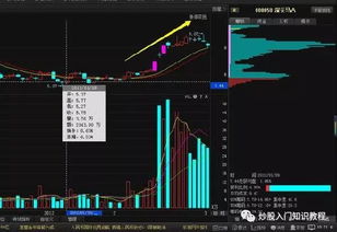 股票技術(shù)分析知識總結(jié)(教你掌握股票技術(shù)分析)