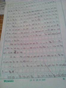 難忘的事作文運動會600字作文開頭和結(jié)尾