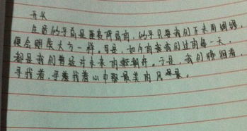 人什么是最美作文600字作文開頭