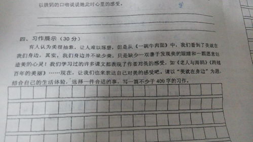 以擁有與尋找作文開頭