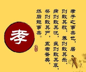 關(guān)于孝順的議論文(關(guān)于孝順的議論文)