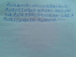 關(guān)于誰感動了我作文的好開頭