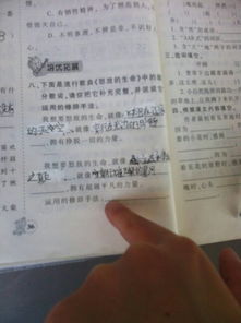 關愛生命作文修辭手法開頭65字