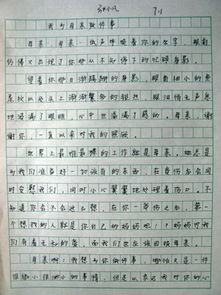 學(xué)會感謝同學(xué)作文開頭結(jié)尾