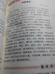 記一次有意義的活動作文開頭怎么寫