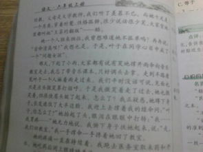 人間真情作文開頭40字