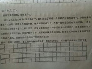 我常想起700字作文開頭